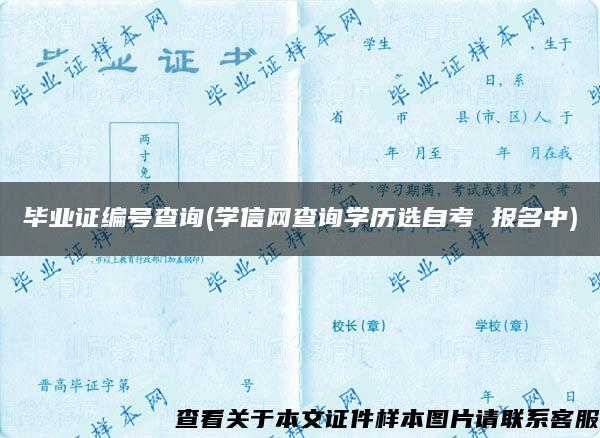 毕业证编号查询(学信网查询学历选自考 报名中)