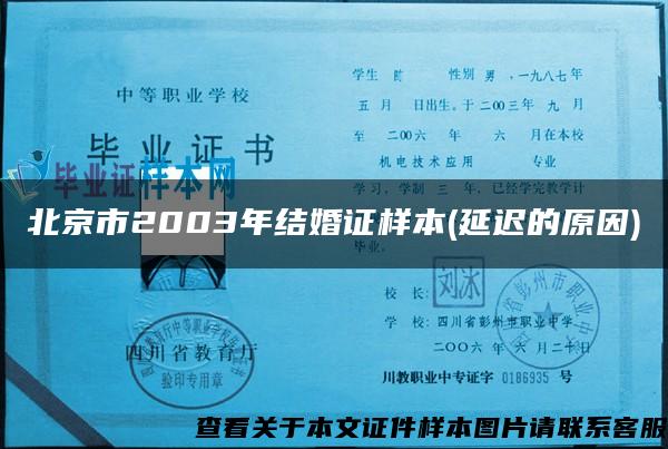 北京市2003年结婚证样本(延迟的原因)