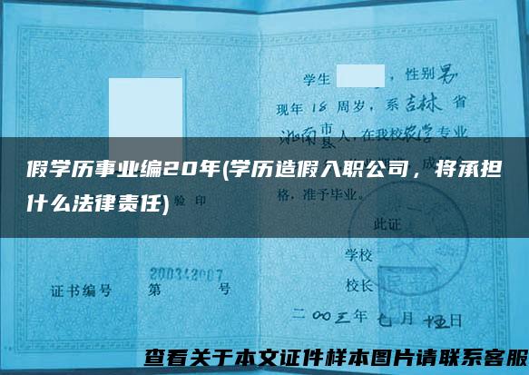 假学历事业编20年(学历造假入职公司，将承担什么法律责任)