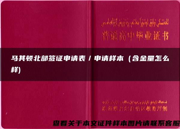 马其顿北部签证申请表／申请样本（含金量怎么样)