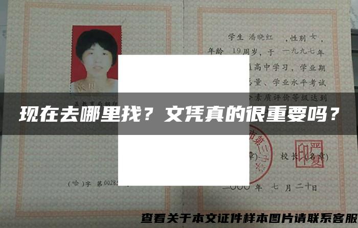 现在去哪里找？文凭真的很重要吗？