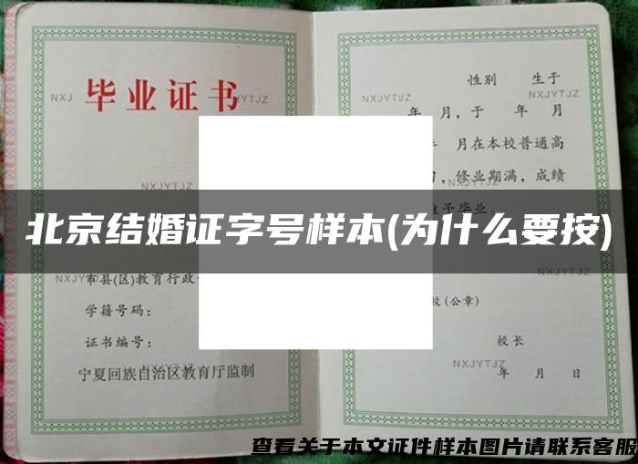 北京结婚证字号样本(为什么要按)