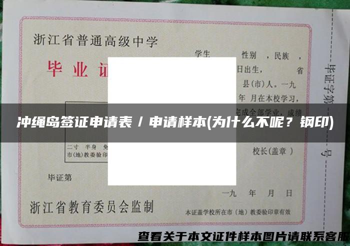 冲绳岛签证申请表／申请样本(为什么不呢？钢印)