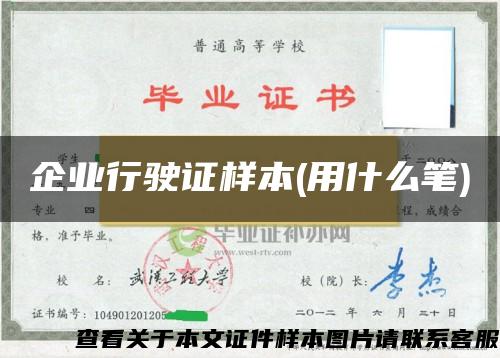 企业行驶证样本(用什么笔)