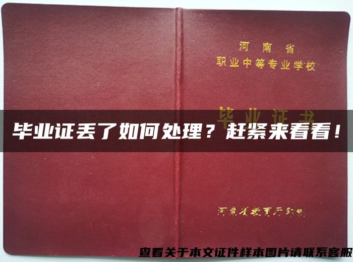 毕业证丢了如何处理？赶紧来看看！