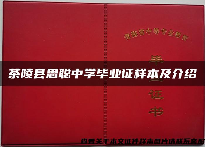 茶陵县思聪中学毕业证样本及介绍