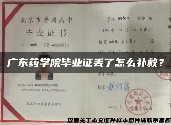 广东药学院毕业证丢了怎么补救？