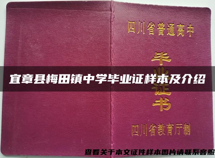 宜章县梅田镇中学毕业证样本及介绍