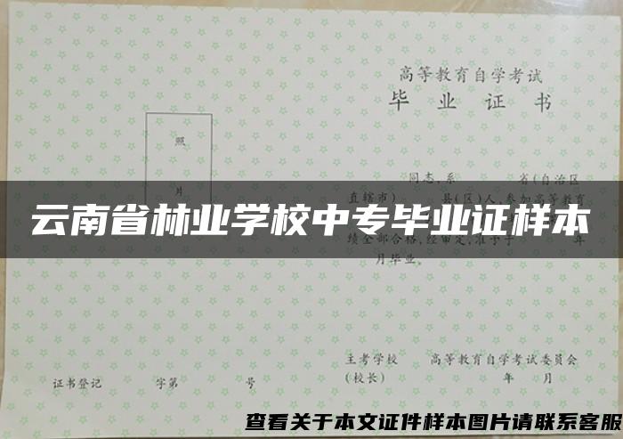 云南省林业学校中专毕业证样本