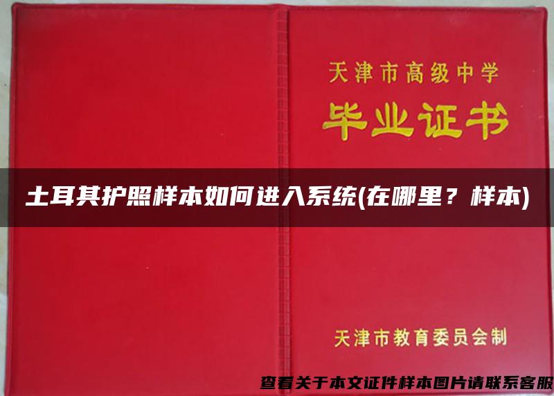 土耳其护照样本如何进入系统(在哪里？样本)