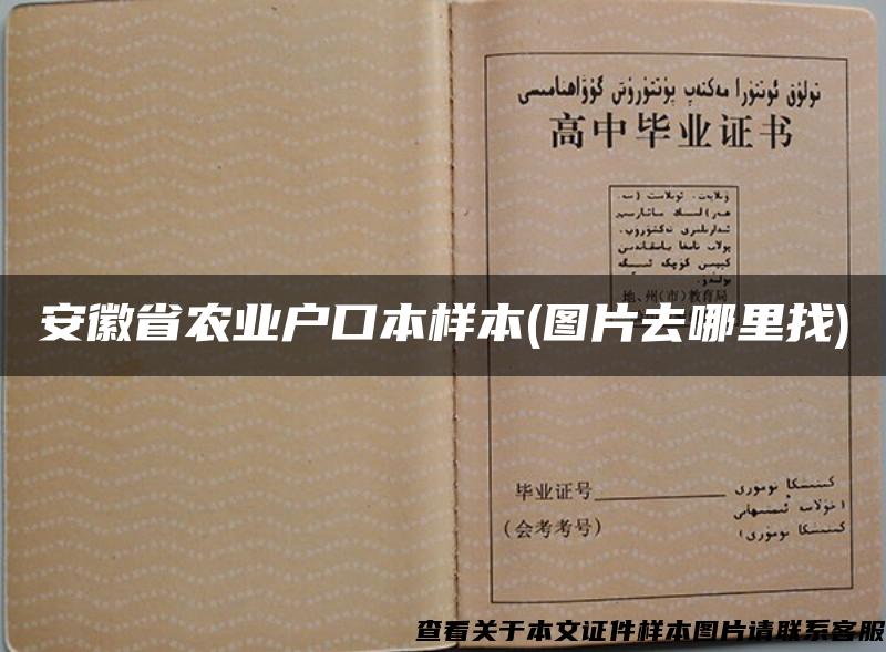 安徽省农业户口本样本(图片去哪里找)