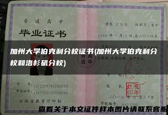 加州大学伯克利分校证书(加州大学伯克利分校和洛杉矶分校)