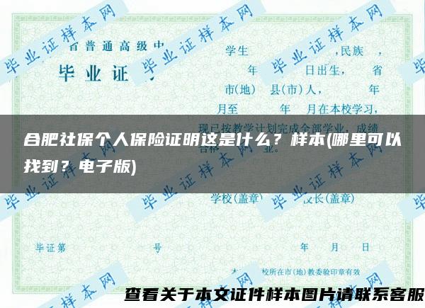 合肥社保个人保险证明这是什么？样本(哪里可以找到？电子版)