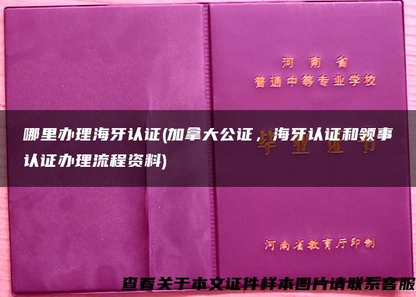 哪里办理海牙认证(加拿大公证，海牙认证和领事认证办理流程资料)