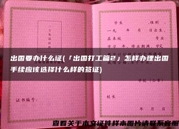 出国要办什么证(「出国打工篇2」怎样办理出国手续应该选择什么样的签证)