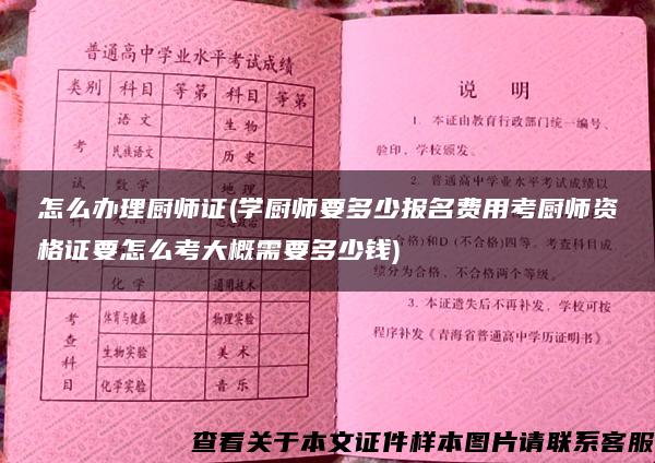 怎么办理厨师证(学厨师要多少报名费用考厨师资格证要怎么考大概需要多少钱)