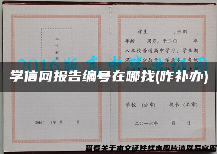 学信网报告编号在哪找(咋补办)