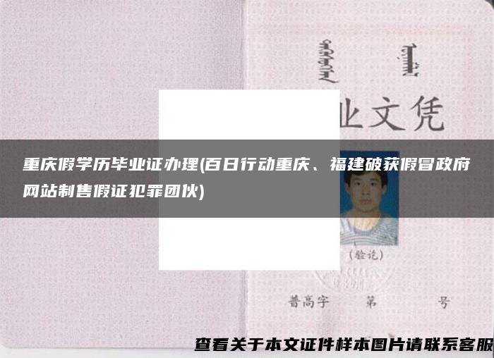 重庆假学历毕业证办理(百日行动重庆、福建破获假冒政府网站制售假证犯罪团伙)