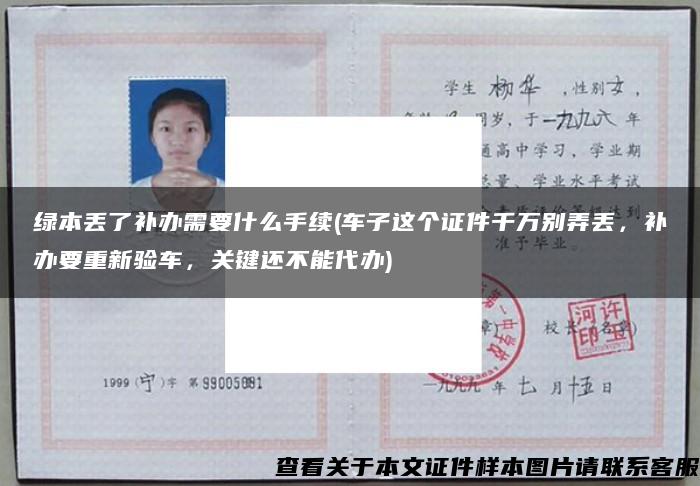 绿本丢了补办需要什么手续(车子这个证件千万别弄丢，补办要重新验车，关键还不能代办)