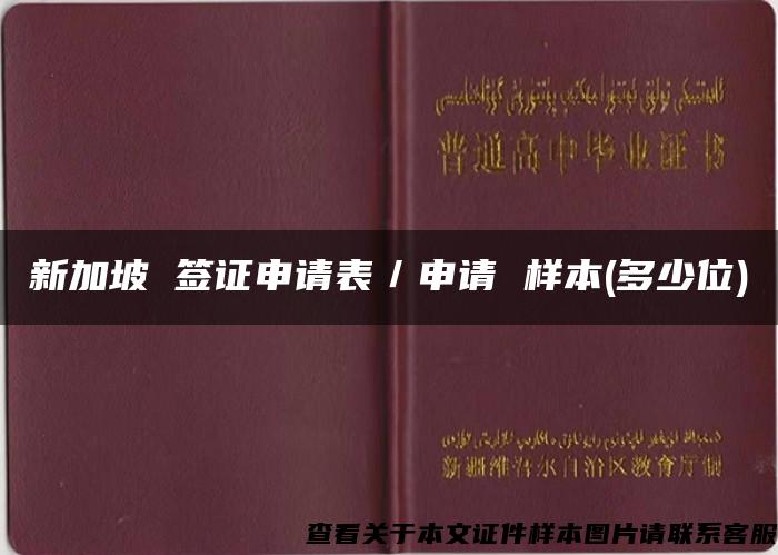 新加坡 签证申请表／申请 样本(多少位)