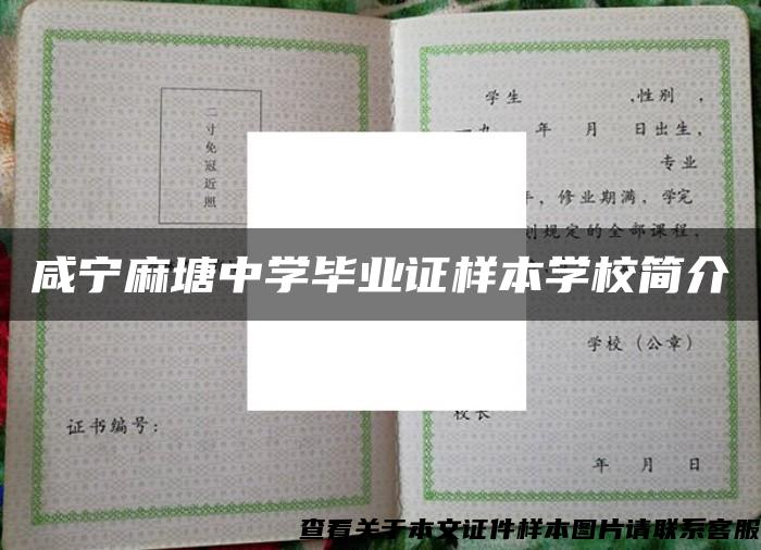 咸宁麻塘中学毕业证样本学校简介