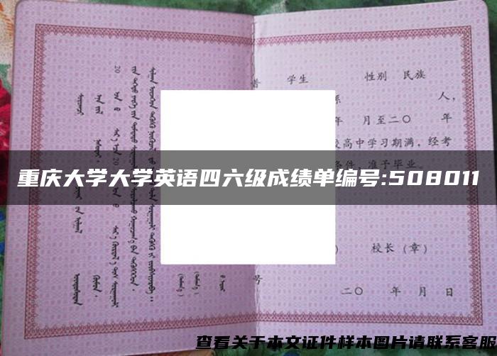 重庆大学大学英语四六级成绩单编号:508011