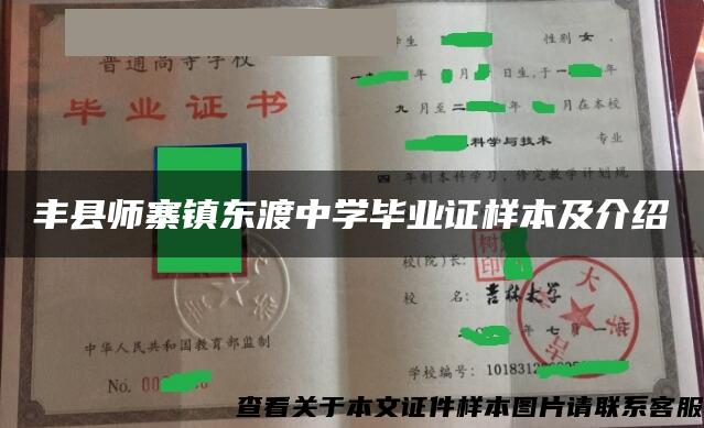 丰县师寨镇东渡中学毕业证样本及介绍