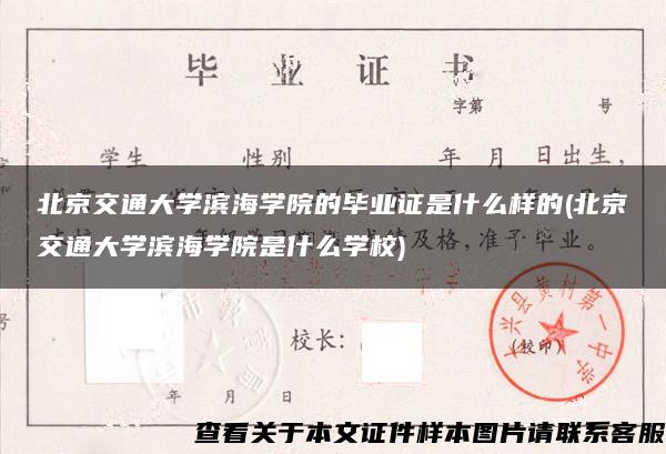 北京交通大学滨海学院的毕业证是什么样的(北京交通大学滨海学院是什么学校)