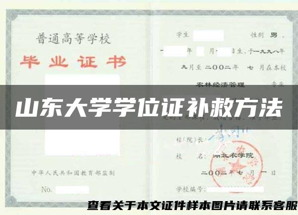 山东大学学位证补救方法