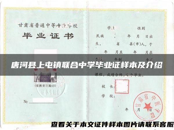 唐河县上屯镇联合中学毕业证样本及介绍