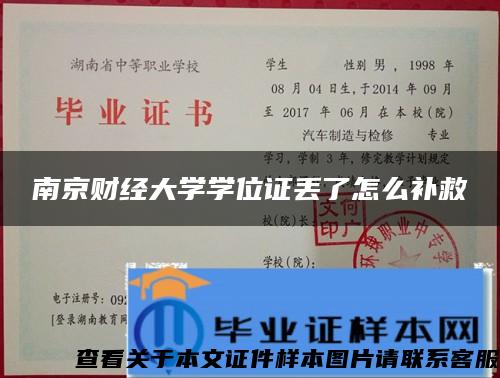 南京财经大学学位证丢了怎么补救