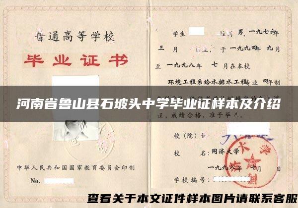 河南省鲁山县石坡头中学毕业证样本及介绍