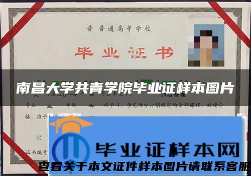 南昌大学共青学院毕业证样本图片