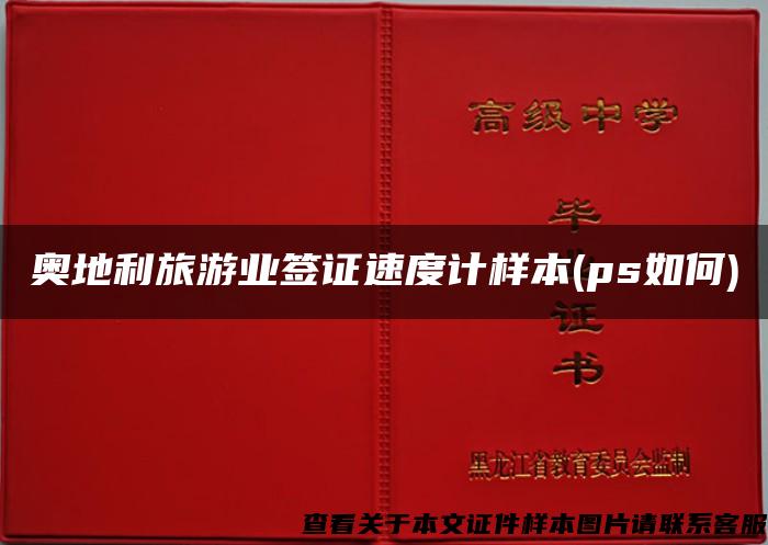 奥地利旅游业签证速度计样本(ps如何)