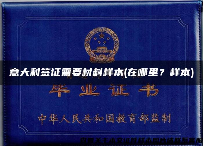 意大利签证需要材料样本(在哪里？样本)