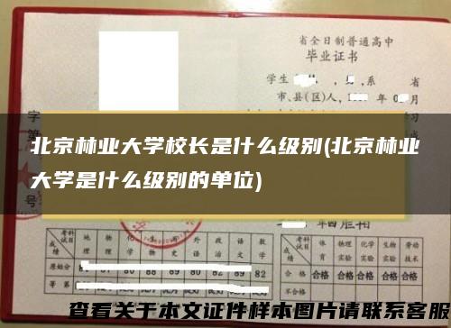 北京林业大学校长是什么级别(北京林业大学是什么级别的单位)