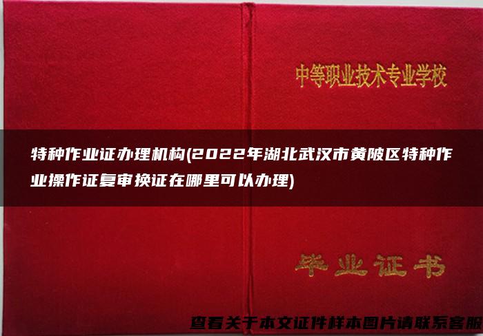 特种作业证办理机构(2022年湖北武汉市黄陂区特种作业操作证复审换证在哪里可以办理)