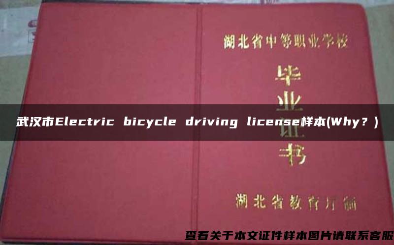 武汉市Electric bicycle driving license样本(Why？)