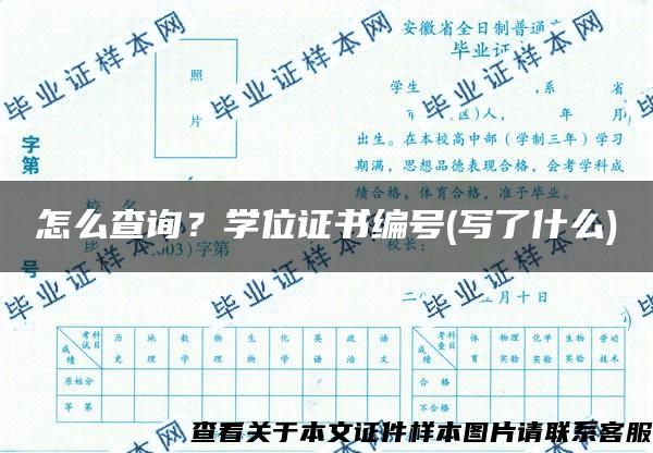 怎么查询？学位证书编号(写了什么)