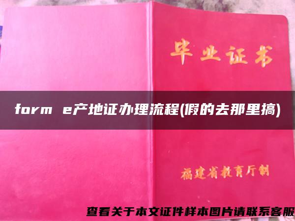 form e产地证办理流程(假的去那里搞)