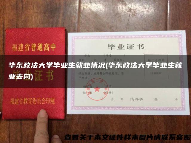 华东政法大学毕业生就业情况(华东政法大学毕业生就业去向)