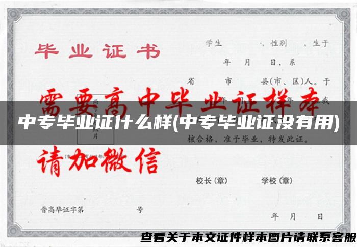 中专毕业证什么样(中专毕业证没有用)