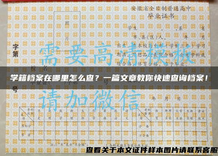 学籍档案在哪里怎么查？一篇文章教你快速查询档案！