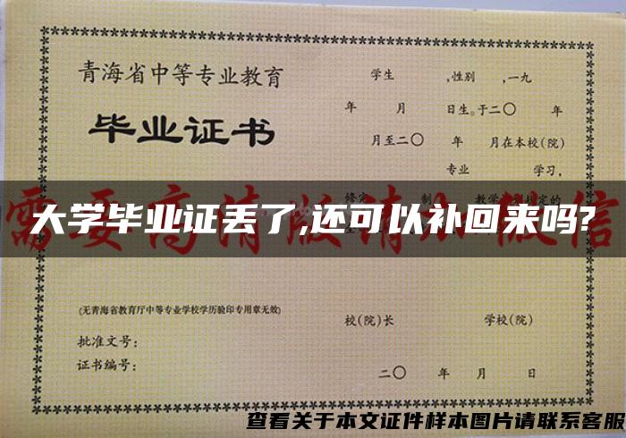 大学毕业证丢了,还可以补回来吗?