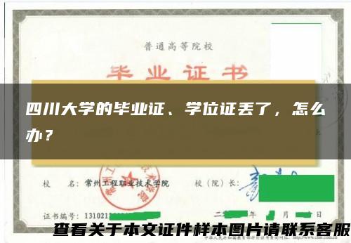 四川大学的毕业证、学位证丢了，怎么办？