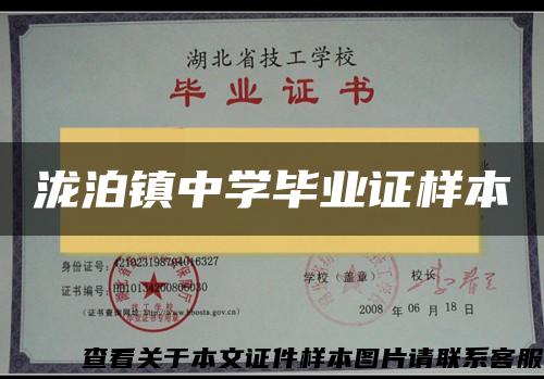 泷泊镇中学毕业证样本