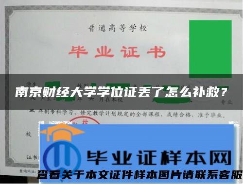 南京财经大学学位证丢了怎么补救？