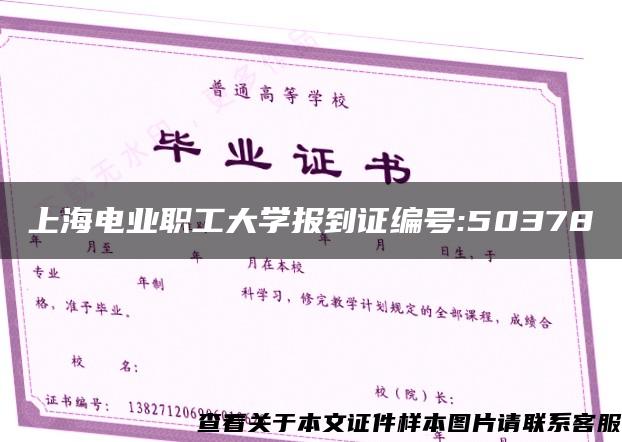 上海电业职工大学报到证编号:50378