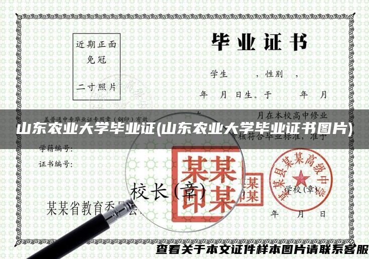 山东农业大学毕业证(山东农业大学毕业证书图片)