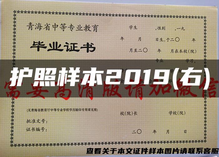 护照样本2019(右)